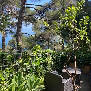 Affittacamere Berzefi, Bergeggi